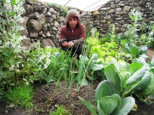 Children of the Japù, Cochamarca, and Yanaruma Q’ero communities enjoy tending the vegetables in their new family greenhouses funded by the Heart Walk Foundation “Grow A Mountain Garden” Campaign, Andes Mountain, Peru, undated | Photo courtesy of the Heart Walk Foundation, St. George News