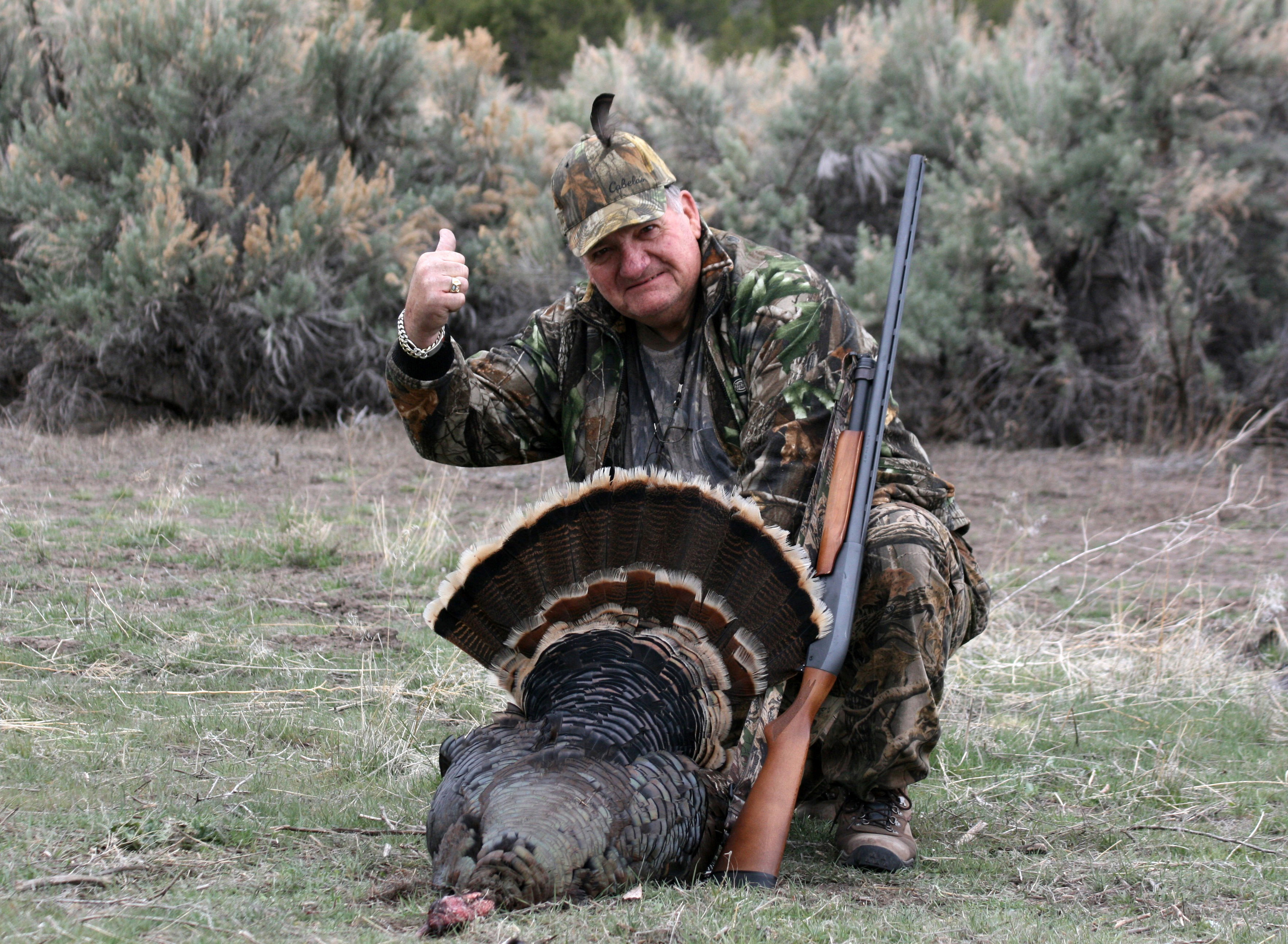 Turkey hunt starts in May; turkey numbers growing Cedar City News
