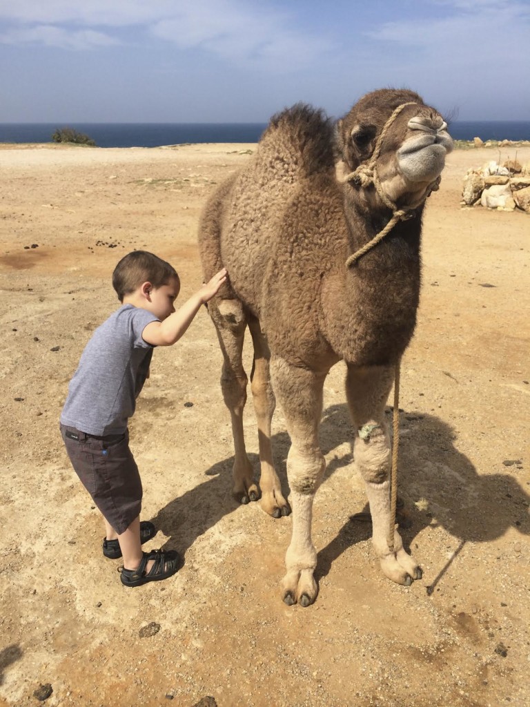 Tangiers, Morocco, April 2014 | Photo by Kat Dayton, St. George News