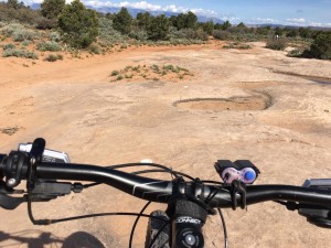 Follow the dots to mountain biking heaven on Gooseberry Mesa. Apple Valley, Utah, April 13, 2016 | Photo by Hollie Reina, St. George News