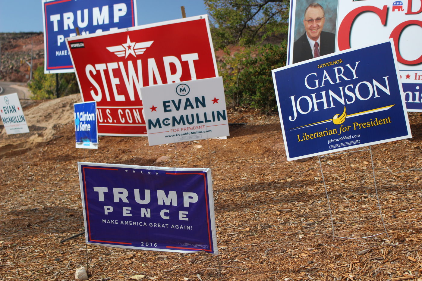 Campaign signs galore at the corner of Bluff Street and Black Ridge Drive, St. George, Utah, Nov. 4, 2016 | Photo by Mori Kessler, St. George News