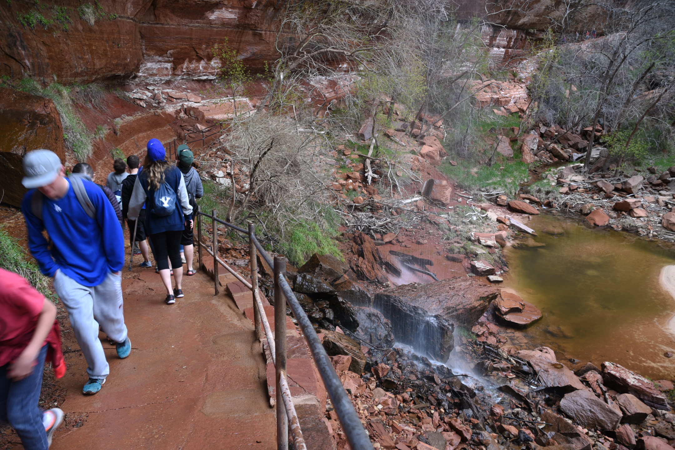 Emerald Pools Hike Zion The Hippest Pics