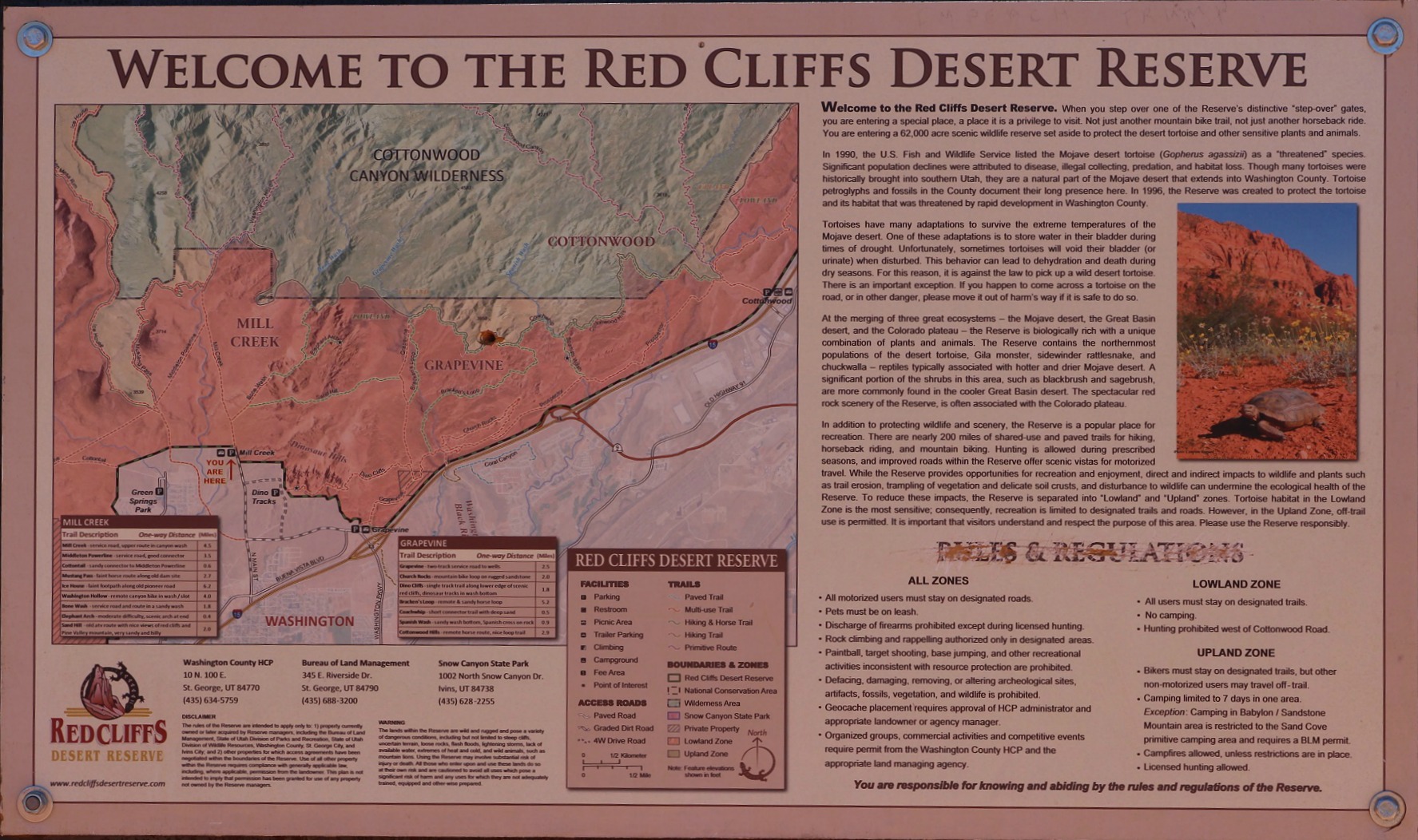 DILLARD'S  22 Reviews - 1850 E Red Cliffs Dr, Saint George, Utah