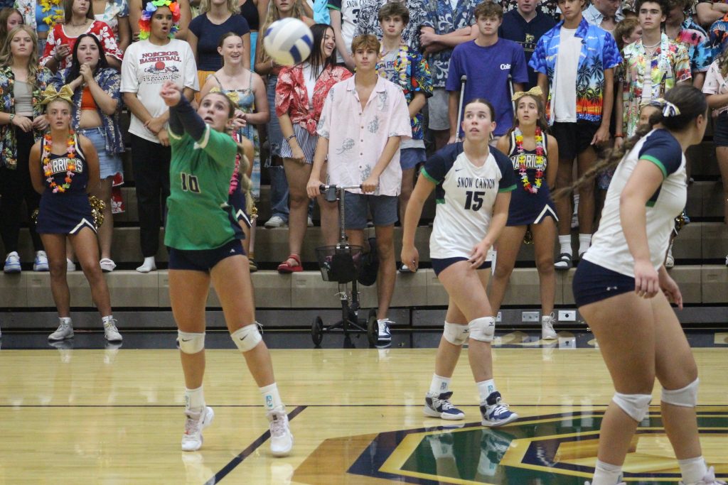 Region 10 volleyball: Top 3 teams in standings all win at home in 3-0  sweeps – Cedar City News