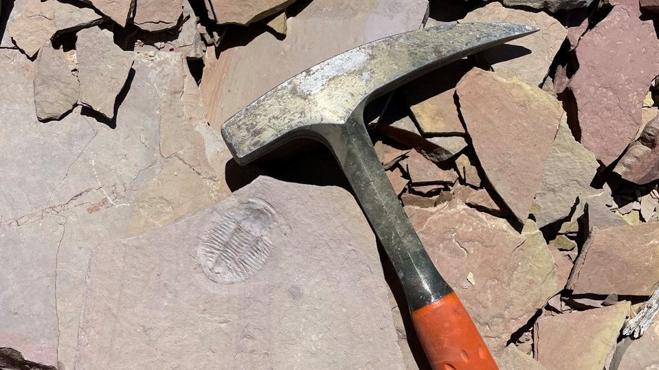 What are some essential tools for rockhounding? : r/rockhounds