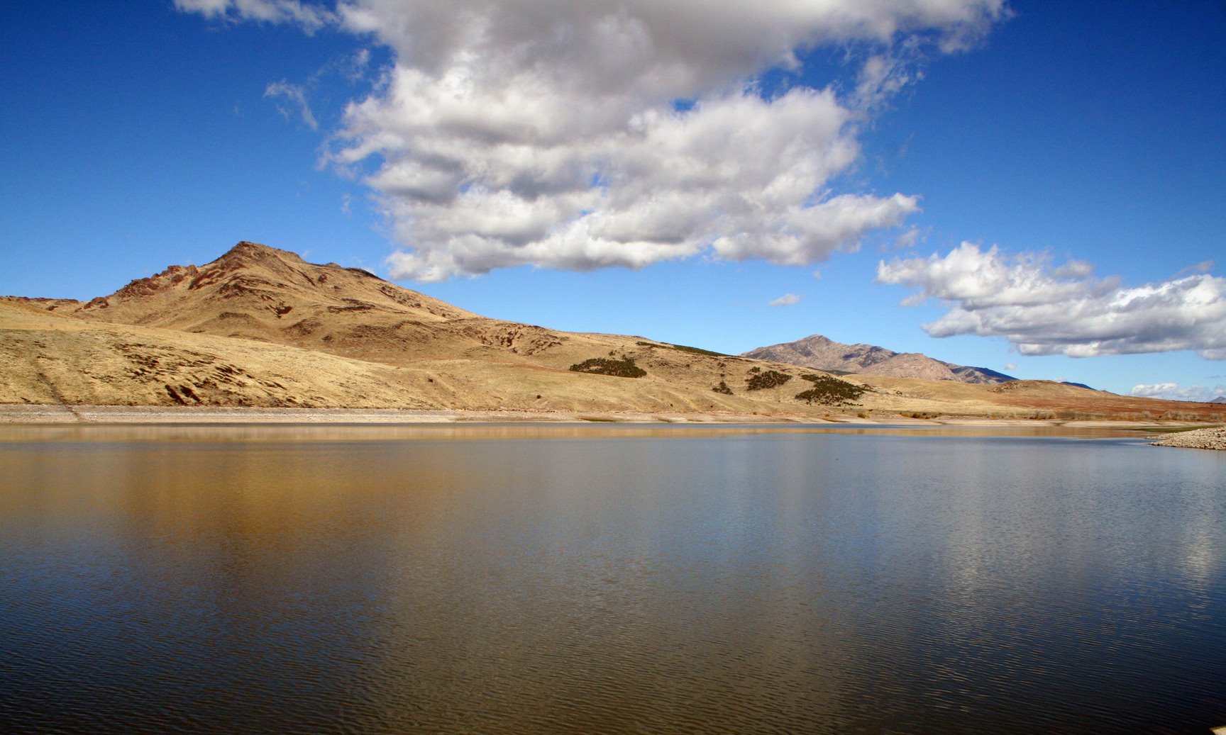 ᐅ Matt Warner Reservoir fishing reports🎣• Vernal, UT (United