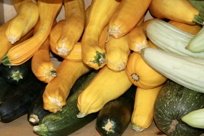 Produce is grown at Iron Rod Farm in Enterprise, Utah, Aug. 30, 2023 | Photo by Jessi Bang, St. George News