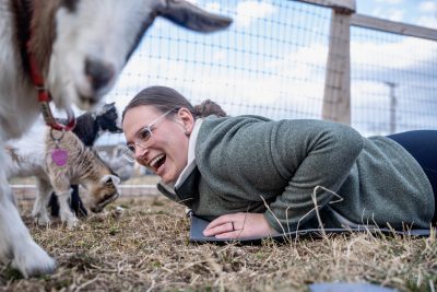 Attendees enjoy Goat Yoga at Inner Peas Farm in Hurricane, Utah, date unspecified | Photo courtesy of Camille Zolman, St. George News