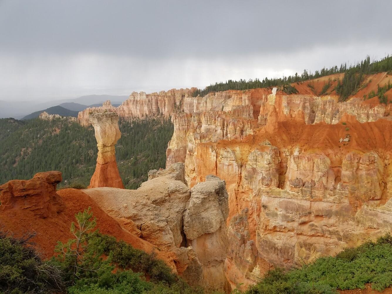 Bryce Canyon Centennial Water bottle - LIMITED