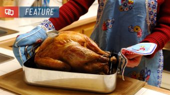 Check a Turkey's Temperature with a Meat Thermometer  Turkey temperature,  Thanksgiving cooking, Turkey cooking times