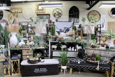 Hand picked items by Ethan Toone are on display inside his store in St. George, Utah, Jan. 23, 2024 | Photo by Jessi Bang, St. George News