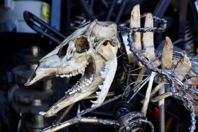 The art piece "Rufus" is made from a deer and coyote skull along with cow bones, Ivins, Utah, June 16, 2024 | Photo by Jessi Bang, St. George News